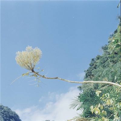 星空体育手机app下载