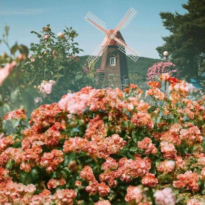 火狐体育APP体育下载手机版