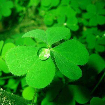 kaiyun全站APP登录官网