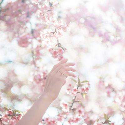 管家婆期期四肖四码中特管家