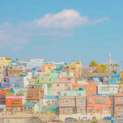 一码一肖100准资料应用手机app下载